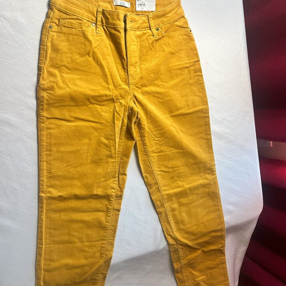 CROFT & BARROW GOLDEN SPICE CORDEROY STYLE PANTS